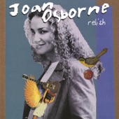 Joan Osborne - Spider Web