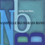 The Nashville Bluegrass Band - Garfield's Blackberry Blossom