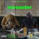 Noreaster