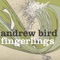 T'n'T - Andrew Bird lyrics