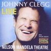 Johnny Clegg