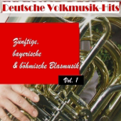 Deutsche Volksmusik Hits - Zünftige, bayerische & böhmische Blasmusik, Vol. 1