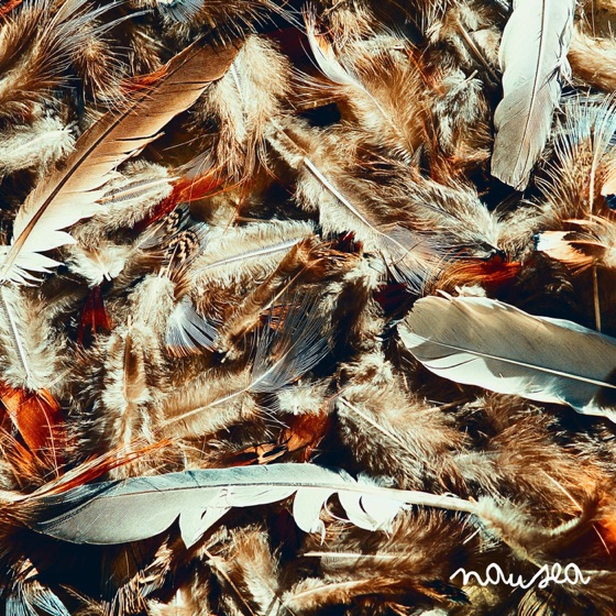 Cover artwork for White Buffalo