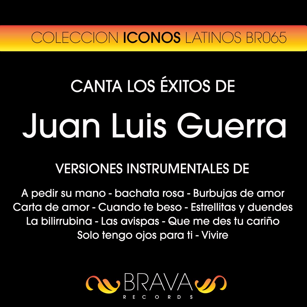 Canta Los Éxitos de Juan Luis Guerra (Instrumental Backing Tracks) - Album  by Brava HitMakers - Apple Music
