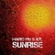 Sunrise Single