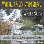 Bubbling Stone Creek In the Deep Forest