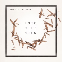 Into the Sun - Single