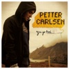 Petter Carlsen - You Go Bird