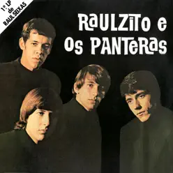 Raulzito e Os Panteras - Raulzito e Os Panteras