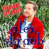 Verdammt gut drauf (Party Mix) — Alex Straub