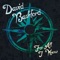 Spinning Gold (feat. Spence Hood) - David Bashford lyrics
