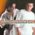 ALMAS GEMELAS