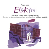 Elektra, Op.58: Ich kann nicht sitzen und ins Dunkel starren (Chrysothemis/Elektra) artwork
