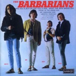 The Barbarians - Mr. Tambourine Man