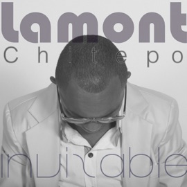 Hero In You Lamont Chitepo