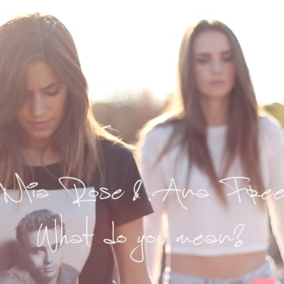 What Do You Mean? - Single