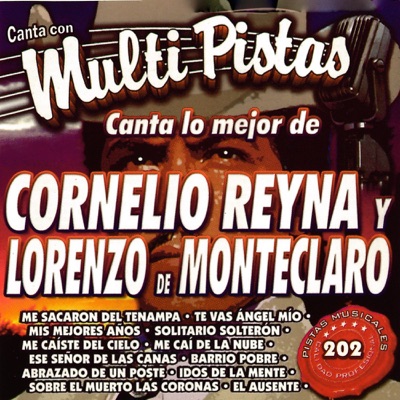 MMP - Te Vas Ángel Mio (karaoke)