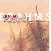 Johannes Brahms - Symphony No. 4 in E Minor, Op. 98: I. Allegro non troppo