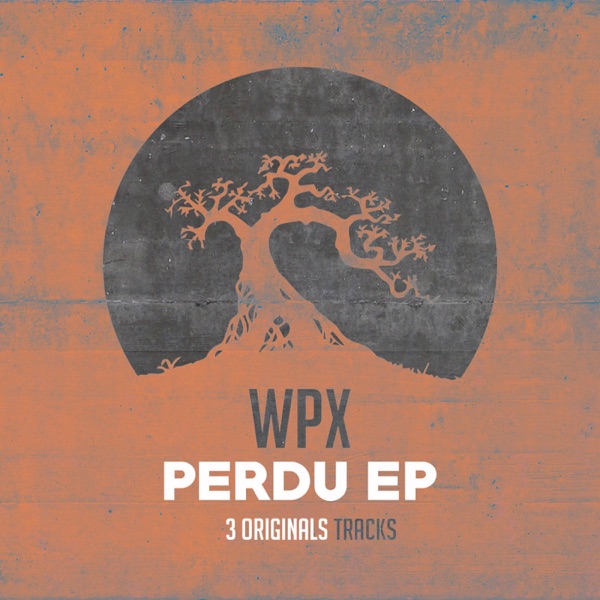 Perdu - Single