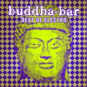 Buddha Bar Best of Electro: Rare Grooves artwork