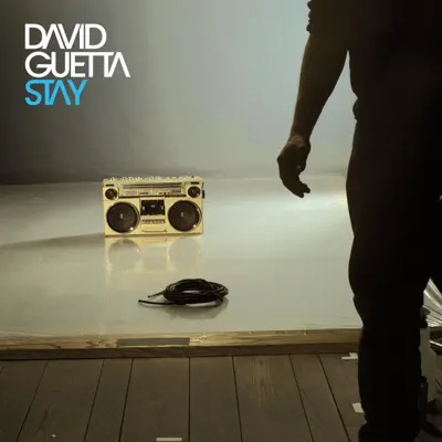 Stay - David Guetta