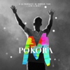 Pas sans toi (live bercy 2012) - M. Pokora