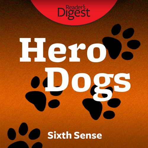 Sixth Sense (Unabridged) cover