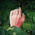 Sea Ghost -