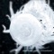 Somnambulist