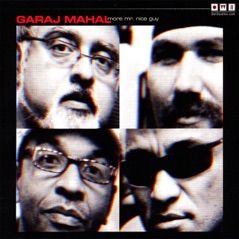 More Mr. Nice Guy (feat. Fareed Haque, Kai Eckhardt, Sean "the Rick" Rickman & Eric Levy