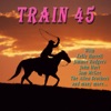 Train 45