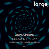 Dream In the Sky