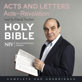 NIV Bible 8: Acts and Letters (Unabridged)
