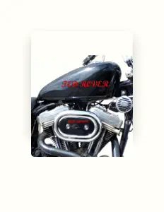 Ted Roverを聴いたり、ミュージックビデオを鑑賞したり、経歴やツアー日程などを確認したりしましょう！