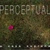 Perceptual