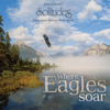 Where Eagles Soar - Dan Gibson's Solitudes