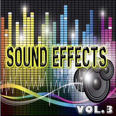 EFX - Sound Effects, Vol. 3 (Footsteps, Sneeze, Laugh, Birds, Screams and More) - Efx