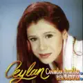Nesine Yandım Bilmem