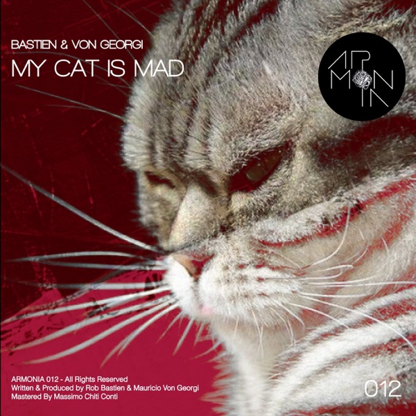 My Cat Is Mad - Single
