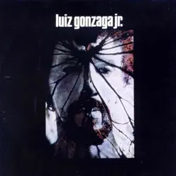 Luiz Gonzaga Jr - Gonzaguinha