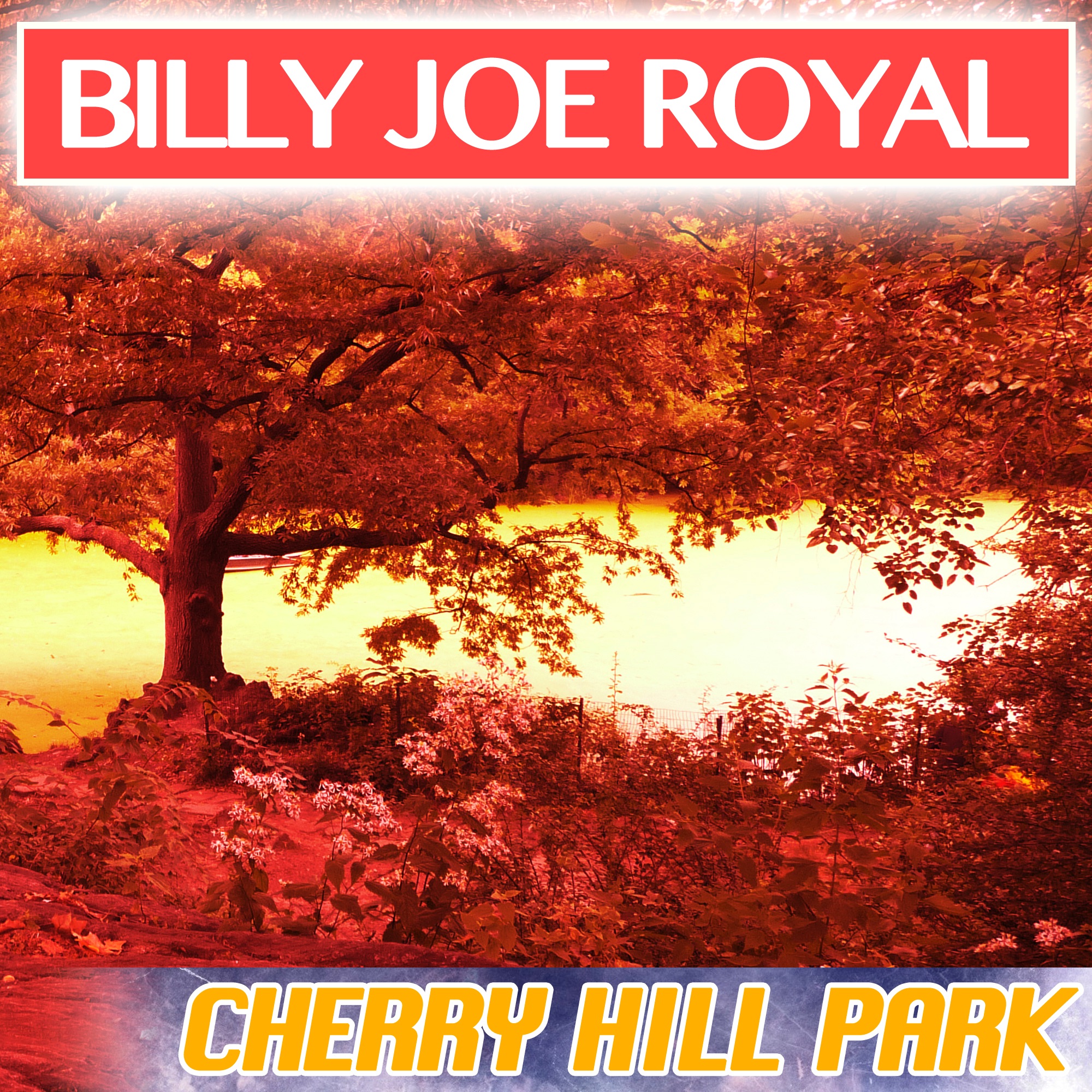 Cherry Hill Park
