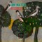 Cardellino - Jam Mattia lyrics