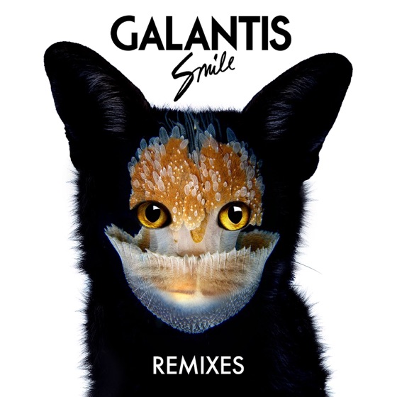 Cover artwork for Smile (Kaskade Edit)