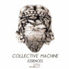 Collective Machine - Mangalas (feat. Tina Malia) artwork