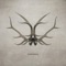 Caribou (feat. Cubus) [Denis Yashin Remix] - Amy Capilari lyrics