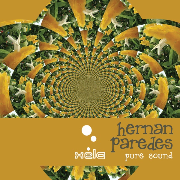 Pure Sound - Single