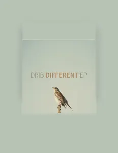 Listen to Drib, watch music videos, read bio, see tour dates & more!