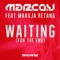 Waiting (for the End) [feat. Maruja Retana] - Marco V lyrics