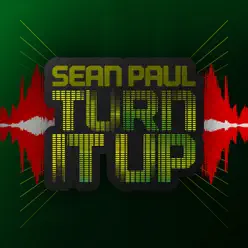 Turn It Up - Single - Sean Paul