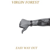 Virgin Forest - Don't Be Afraid